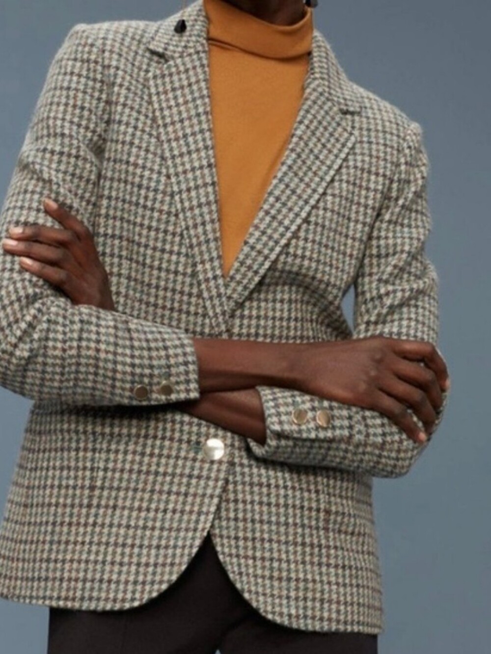 Wool Aritzia Wilfred Blazer